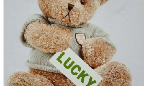 恒升烫画推出新产品——超柔烫画